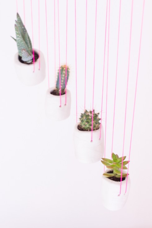 2015UJBhangingplants5