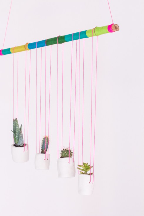 2015UJBhangingplants8