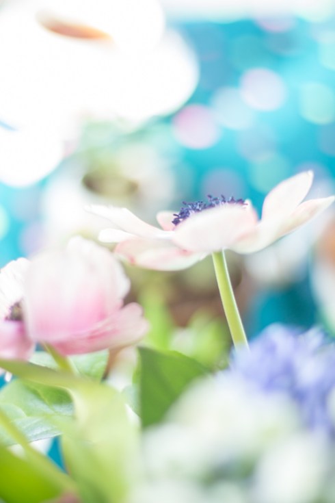 2015urbanjunglebloggersjan1